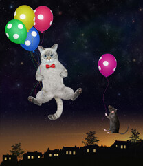An ashen cat and a black rat with balloons are flying in the night sky.