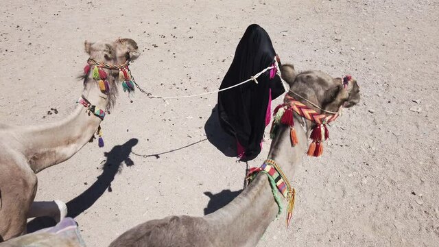 POV shot riding a Camel through the Desert. Adventure and travelling concept