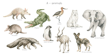 Watercolor wild animals letter A. Aardvark, alligator, avocet, arctic fox, African elephant, armadillo, adele penguin, anteater, addax. Zoo alphabet. Wildlife animals. Educational alphabet cards. - 473870261