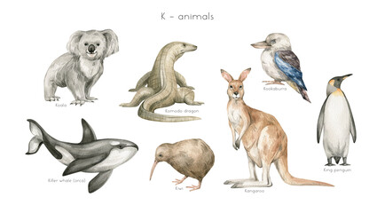 Watercolor wild animals letter K. Koala, komodo dragon, killer whale, kiwi bird, kangaroo, kookaburra, king penguin. Zoo alphabet. Wildlife animals. Educational cards with animals.  - 473870268