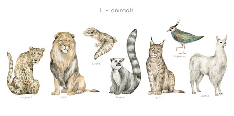Watercolor wild animals letter L. Leopard, lion, lizard, lemur, lynx, lapwing bird, llama. Zoo alphabet. Wildlife animals. Educational cards with animals.  - 473870271