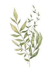 Watercolor bouquet with meadow branches and leaves isolated on white. Summer wild twigs, floral arrangements