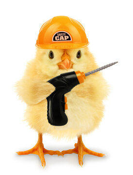 Cute cool chick repairman with yellow helmet and drill funny conceptual image