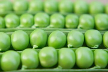 fresh young green peas in opened pods as a food background