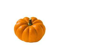Mini pumpkin isolated on white background with a large copy space