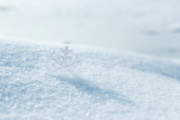 winter snowflake in the snow