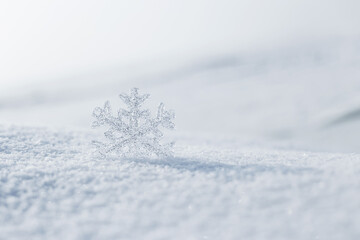 snowflake in the snow