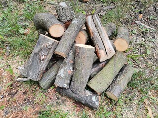 firewood in the yard