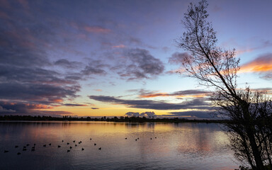beautiful sunset on a lake in The Netherlands during autumn blue sky clouds selective focus Background blur