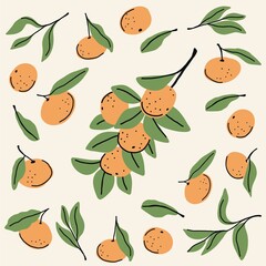 Vector set with tangerines and leaves on a white background. Flat cartoon style.