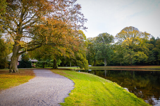 pathway in an autumn parks nature colors pond and background trees