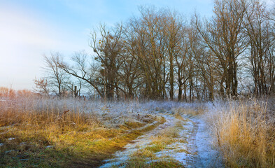 Naklejka na ściany i meble Art Winter landscape. Winter field road covered with snow