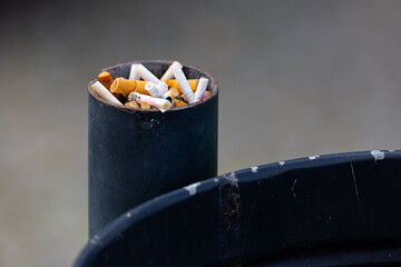 Lots of cigarette stubs crammed into the trash can post. The main subject stands out against a blurred background - obrazy, fototapety, plakaty