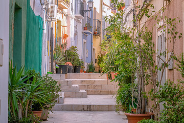 Pretty streets in the old town of Alicante, beautiful flowerpots with small trees, flowers along the street. Street stairs, old Spanish architecture, close up view