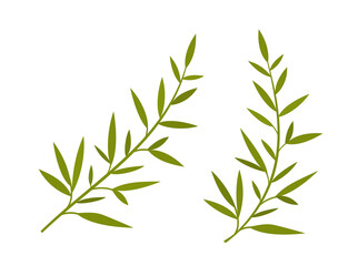 Tree branches. Harmonious branches ready for your design. Vector illustration. EPS10.	