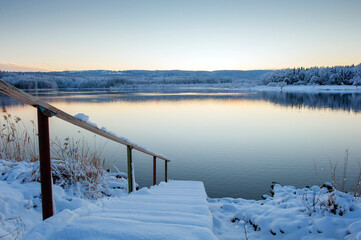 Naklejka premium Winter forest near the lake. Sunny and snowy day.