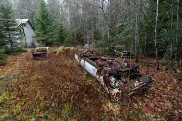 rusty old vintage cars, some with missing doors and windows, Ivan's Junk Yard, Car Cemetry, damaged cars in Sweden close to norway