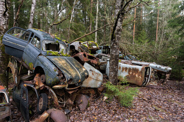 Wrecked vintage and classic old cars left in decaying line for decades to be naturally conserved by nature at Ivan's Junk Yard far out in a Swedish forrest.