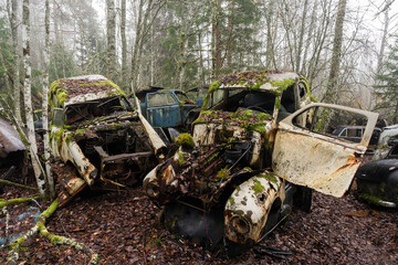 Lots of old abandoned vintage cars left in nature at the end of the road in Ivan's Junk Yard - a deserted Swedish car cemetery far out in the woods.