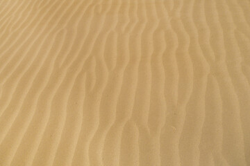 Fototapeta na wymiar Close up view of the wavy surface of the sands in the desert