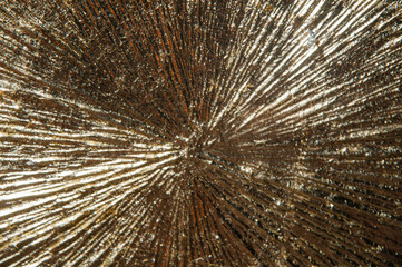 area of radially crumpled gold patina, flare effect, short focus
