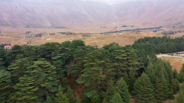Aerial Beautiful Shot Of Structures On Landscape, Drone Flying Forward Over Trees - Bsharri, Lebanon