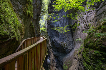walking paths in the canyon