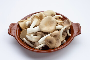 Fresh oyster mushroom in bowl on white background.