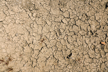 Dry cracked soil in a field during drought. Global warming problem. Ecology issue. Earth dying concept. Effect of water shortage on agriculture industry. Warm color.