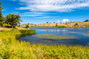 View of Biviere lake on a sunny summer day, Nebrodi National Park, Sicily, Italy
