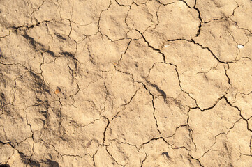 Cracked dry mud pattern