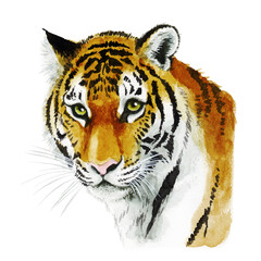 アナログ水彩虎の成獣の顔水墨画風