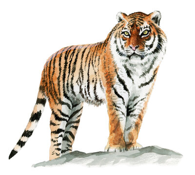 360_F_473889421_VuzqM9O11WOsV5