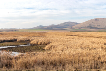 Autumn view of Aldomirovtsi marsh, Bulgaria