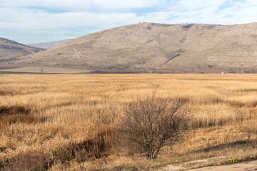 Autumn view of Aldomirovtsi marsh, Bulgaria