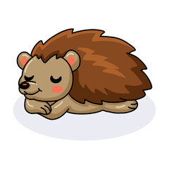 Cute little hedgehog cartoon sleeping