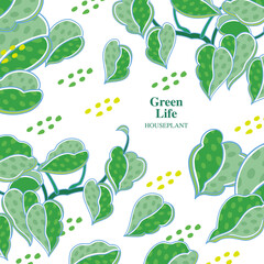 Vector illustration of houseplant, green leafy plant, Green leaf pattern, vector background
