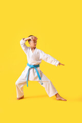 Little boy practicing karate on color background © Pixel-Shot