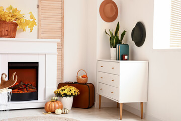 Interior of light room with modern fireplace and chest of drawers