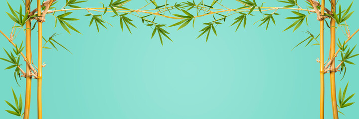 Bamboo branches With Bamboo leaves isolated on green background, Banner Design Bamboo branches With...