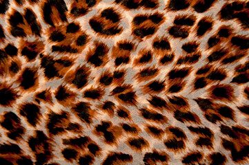 Close up of background with the leopard print pattern