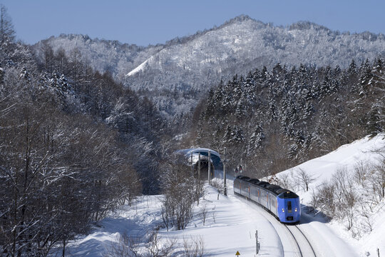 とかち 特急  JR北海道 hokkaidou 北海道 冬 yuki 雪トマム