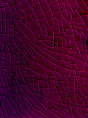 wine red & purple abstract pattern lines pattern