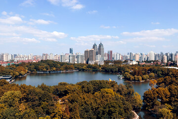 Fototapeta premium Aerial view of urban skyline and city parks.