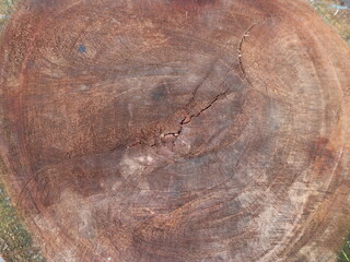 a rough texture interface of old wood background