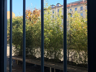 The view outside the windows of Italian town house. ヨーロッパの鋼鉄製の窓枠、窓から外を見た写真。