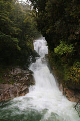 waterfall in the forest