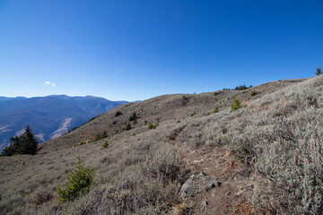 Hiking trail on Mt Kobau to Chopka Lookout in British Columbia
