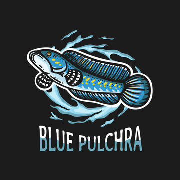 blue pulchra fish illustration with water surround