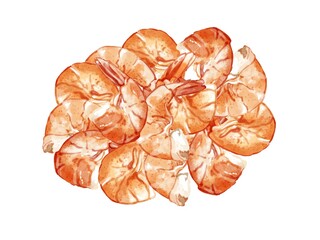 手描き水彩の蒸し海老イラスト長方形フレーム・楕円埋め